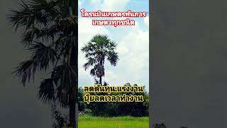 สุดยอดโดรนการเกษตร เกษตรผสมผสาน [upl. by Inama]