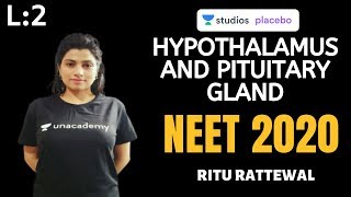 L2 Hypothalamus and Pituitary Gland  Endocrine System  Premedical  NEETAIIMS  NEET 2020 [upl. by Illoh]