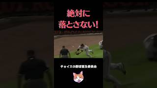 【MLB】絶対に落とさない！ baseball 好プレー 野球 [upl. by Yatnahs984]