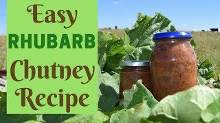 Simple Rhubarb Chutney Recipe [upl. by Kaye741]