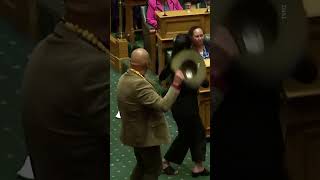 Haka protest parliament haka protest newzealandprotest parliament trending shorts viralvideo [upl. by Nalym165]