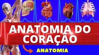 ANATOMIA DO CORAÇÃO LOCALIZAÇÃO CAMADAS VALVAS CORONÁRIAS E INERVAÇÃO  SISTEMA CARDIOVASCULAR [upl. by Neerual416]