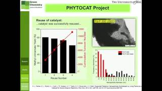 Case study phytoremediation [upl. by Carlock]