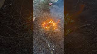 Bushcraft weekend 2 FIRE [upl. by Moody]