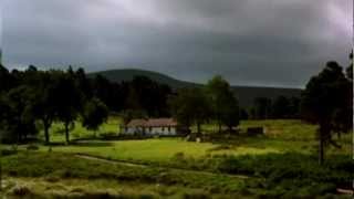 Dolores KeaneDown By The Salley Gardens  Dancing At LughnasaIrish Film Orchestra [upl. by Rahr]