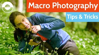 Macro Photography Tips and Tricks Camera Settings Equipment Diffuser  Mirror Hack [upl. by Iadam]