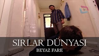 Sırlar Dünyası  BEYAZ FARE [upl. by Artemisa298]