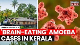 BrainEating Amoeba  All Things To Know About BrainEating Amoeba Which Triggered Panic In Kerala [upl. by Enier]