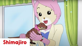 A Special Present for Mum 💕🎁  Family  Mom  Kids videos for kids  Shimajiro [upl. by Eikcim844]