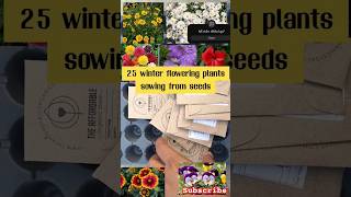 25 winter flowering plants growing from seedswinterfloweringplant winterflower flowersgardening [upl. by Haidabez119]