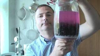 How to make blackcurrant vodka [upl. by Mellins]