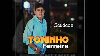 Toninho Ferreira  Saudades CD COMPLETO [upl. by Arais]