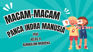 Video Pembelajaran  MacamMacam Panca Indra  IPAS Kelas 4  Kurikulum Merdeka [upl. by Urissa]