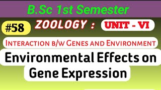 Environmental Effects On Gene Expression  Interaction between Gene and Environment geneexpression [upl. by Faulkner337]