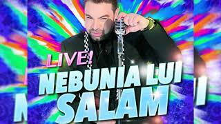 Florin Salam Nebunia lui Salam Colaj Manele Live partea 5 [upl. by Aniuqahs]