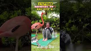 动物 女子在户外练瑜伽，偶遇热情的火烈鸟“导师”🤣：看清楚了，我只教一遍！火烈鸟 funny 瑜伽 社会百态 [upl. by Brentt794]