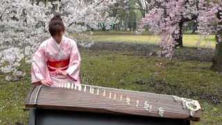 さくらSakura 25絃箏 25 strings koto [upl. by Eveneg223]