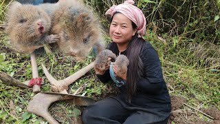 Gopher hunting in the forest nagavillagelife Nagastyle [upl. by Anelej]