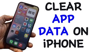 How to Clear App Data on iPhone [upl. by Kreg]