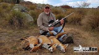 Fox Hunting In the New England with the Silva Fox Whistle and Ron Kiehne [upl. by Severin531]