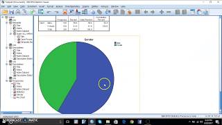 SPSS Data Analysis Tutorial Step by Step Guide [upl. by Llenrrad392]