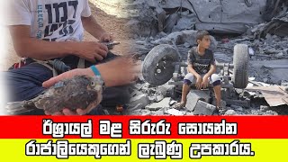 ඊශ්‍රායල් මළ සිරුරු හොයන්න රාජ අලියෙකුගෙන් ලැබුණු උපකාරය [upl. by Jarita]