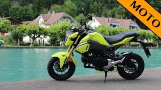 2017 Honda MSX125 Grom  geilstes 125er Bike der Welt Voller Review [upl. by Llenel]