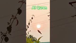 SURAH NOOR URDU TRANSLATIONshortsexploreytvideossurahnooryoutubevideo urdu [upl. by Eatnohs62]