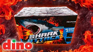 Test fajerwerków z Dino Shark Attack Super kostka Tripex Firecracker Polenböller [upl. by Klotz]