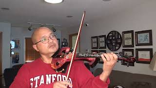 Fiocco Allegro 2024 on Electric Violin [upl. by Ilocin]