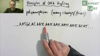 Principles of DNA Profiling [upl. by Gnaht]