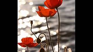 ABIDE WITH ME  Poppy Day  REMEMBRANCE SUNDAY  Armed Forces [upl. by Gonyea339]