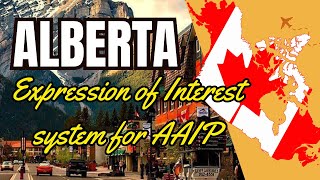 STOP Applying to AAIP Worker Streams in Alberta Without Knowing This [upl. by Asillem]