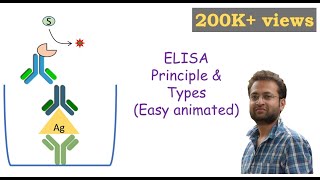 ELISA Enzymelinked Immunosorbent Assay [upl. by Haggerty517]