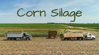 Chopping Silage 2022  KANSAS  JD 5830 Forage Harvester [upl. by Anahsohs]