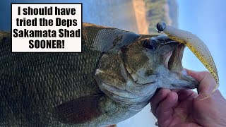 The Deps Sakamata Shad is the Hottest New Bait [upl. by Anazus]