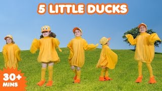 5 Little Ducks  Nursery Rhymes  Kids Songs [upl. by Baggett]