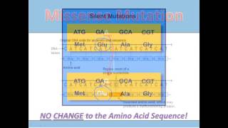 Substitution Mutations [upl. by Thaddaus291]