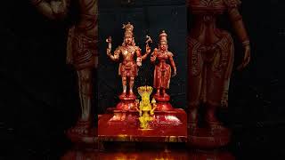 Shiva abhishekam 🙏 Karthika masam shorts viralvideo youtubeshorts youtube [upl. by Nyluqcaj]