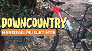 DOWNCOUNTRY  HARDTAIL MULLET MOUNTAINBIKE [upl. by Iralam]