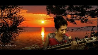 Yamunai Aatrile  Illayaraja  Thalapathi  Veena Instrumental Cover  Shreya Ramaswamy [upl. by Jeanie699]