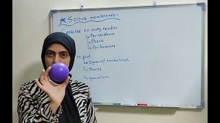 Intro to Serous Membranes [upl. by Nnahtur920]