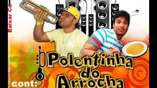 Poletinha do Arrocha Plaque de 100 [upl. by Iba400]