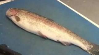 How To Fillet A Trout [upl. by Nepets]