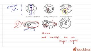 Ovule is inverted resupinates at 180 with body fused to funicle micropyle [upl. by Aneleve]