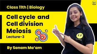 Class 11th Biology Shot  Cell Cycle and Cell Division Meiosis Lecture 3  By Sonam Maam [upl. by Ynattib]