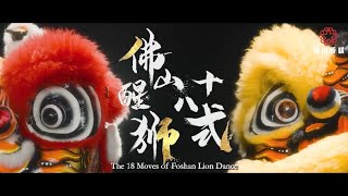 The 18 Moves of Foshan Lion Dance Episode 13 Dynamics（second part） 佛山醒獅十八式第十三集动态（二） 英字粤配 [upl. by Marceau]