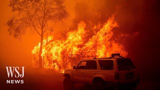 Watch Rare Fire Tornado in California Park Fire  WSJ News [upl. by Hornstein]