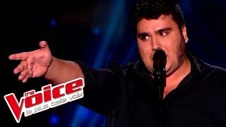 Jacques Brel  Ces gens là  Yoann Launay  The Voice France 2015  Blind Audition [upl. by Latton]