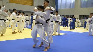 Elite College Judo Practice in Japan at Nittai University  Day 3 of The Japan Judo Camp amp Tour [upl. by Stockton]